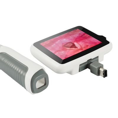 Handheld ENT Surgical Instruments Medical Hospital Portable Video Laryngoscope